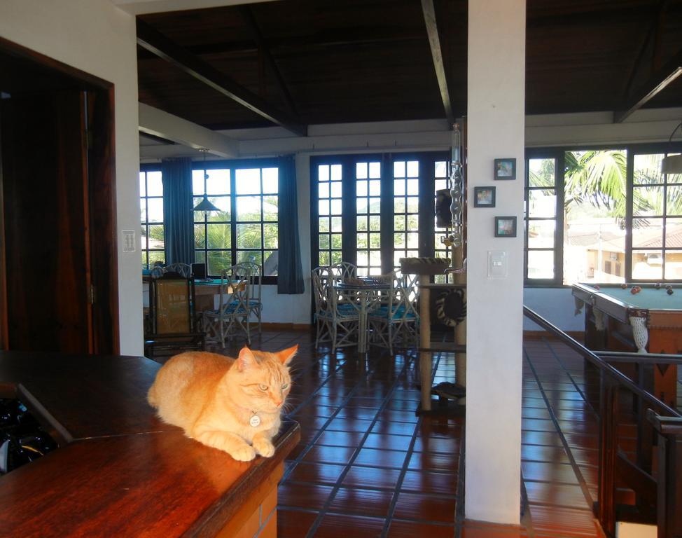 The Cats' House Hotel Florianopolis Exterior photo